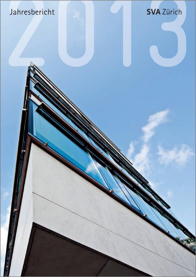 PDF, Jahresbericht 2013