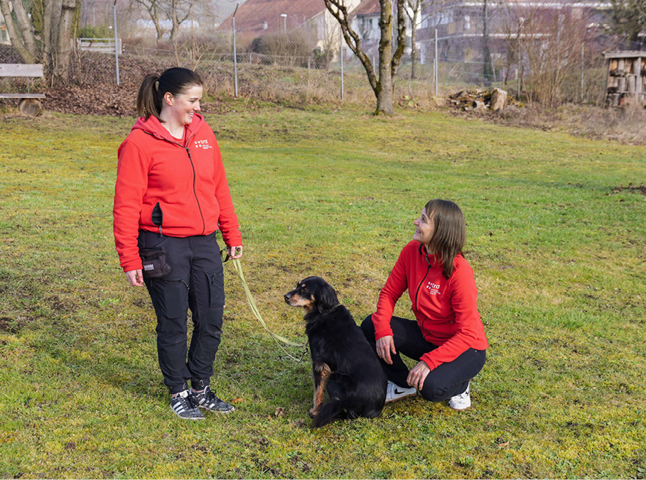 Gute Bindung: Ein Team ist ausschliesslich zuständig für die Hunde.